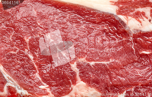 Image of fresh raw meat background