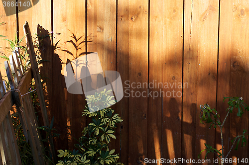 Image of sun casting shadows on garden fence