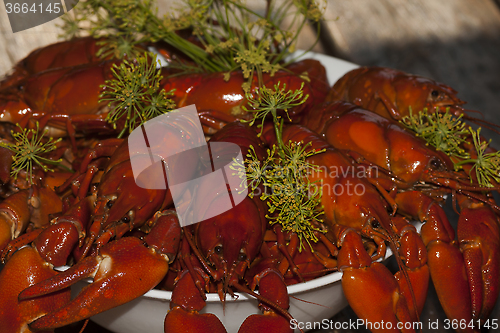 Image of crayfish