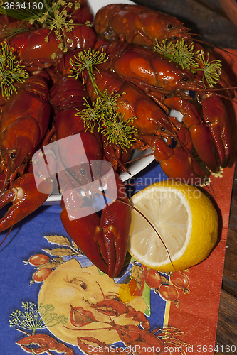 Image of crayfish