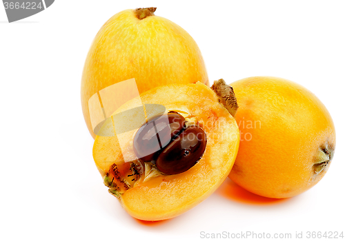 Image of Loquat Medlar Fruit