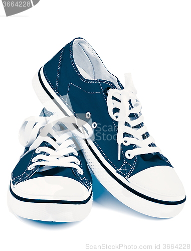 Image of Blue Gym Shoes