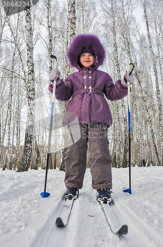 Image of Winter portrait of the girl of four years on skis