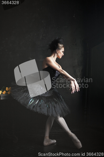 Image of Portrait of the ballerina in ballet tatu on black background