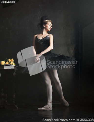 Image of Portrait of the ballerina in ballet tatu on black background