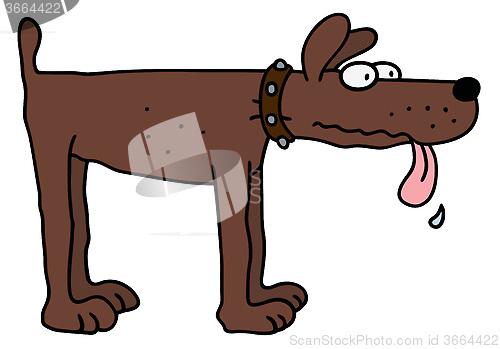 Image of Funny brown dog