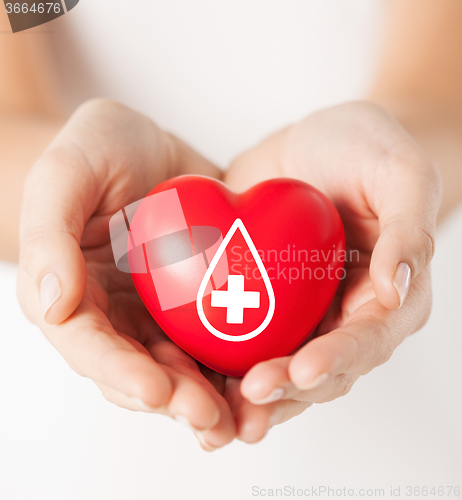 Image of female hands holding red heart with donor sign