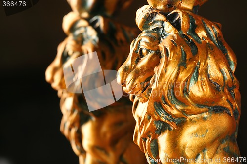 Image of Two Golden Lions