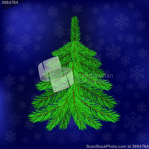 Image of Green Fir on Blue Snowflakes Background