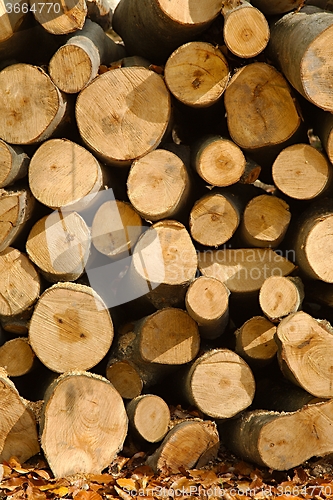 Image of Log Pile