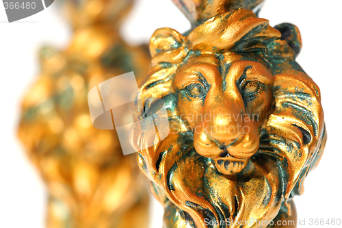 Image of Two Golden Lions