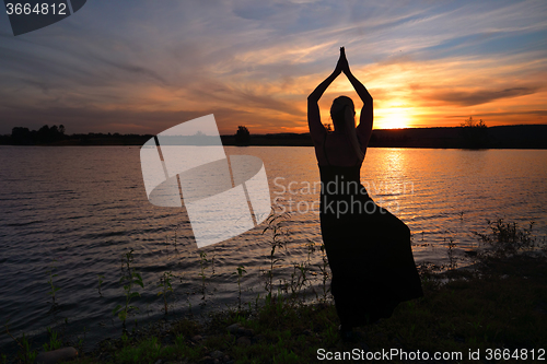 Image of Sunset meditation Tree Pose