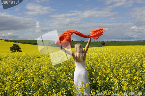 Image of Happy woman flailing scarf in a field of flowering canola in spr