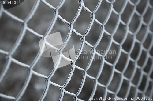 Image of Winter Fence