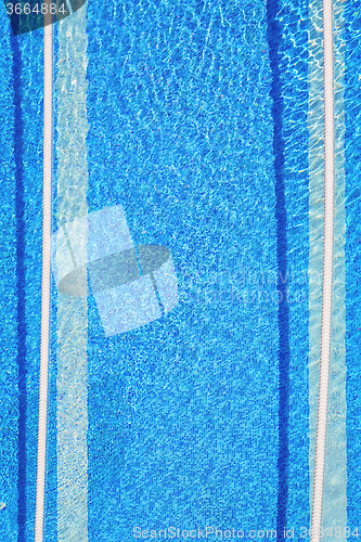 Image of The Swimming Pool