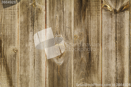 Image of The Wooden Background