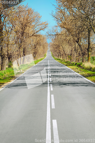 Image of Road in Early Spring