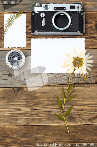 Image of lens, retro camera and pressed plant