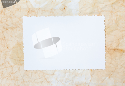Image of Blank vintage photo
