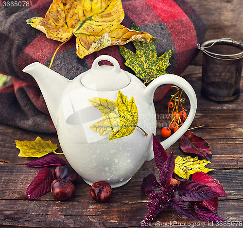 Image of Autumn still life with kettle