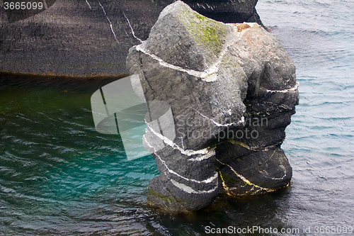 Image of Rock half-man: natural analogue of man-tree with paintings of Hieronymus Bosch \"The Garden of earthly delights\"