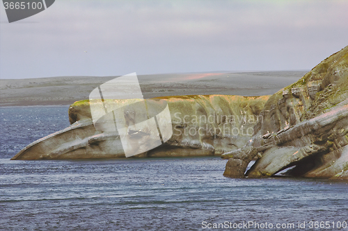 Image of The Cape whale in the Barents sea, Novaya Zemlya archipelago, South island