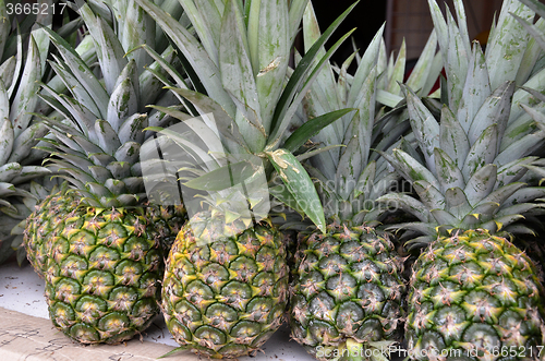 Image of Pineapple tropical fruit