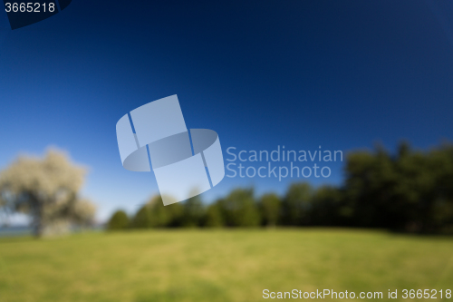 Image of blurred summer field and blue sky background