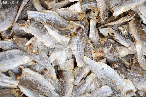 Image of Dried salted fishs on market