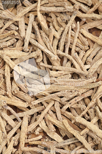 Image of Dry Ginseng roots  