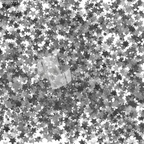 Image of Grey Transparent Stars.