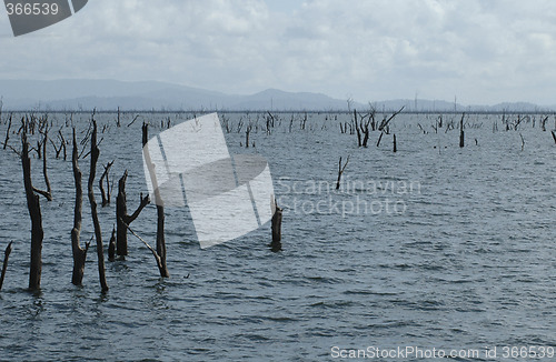 Image of Lake Afobaka