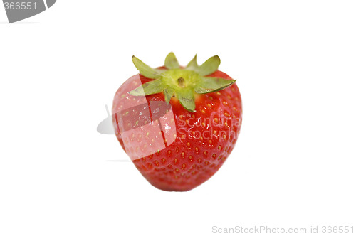 Image of Strawberry