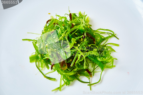 Image of Hiyashi Wakame on shell-shaped dish