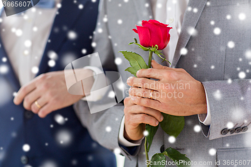 Image of close up of happy male gay couple holding hands