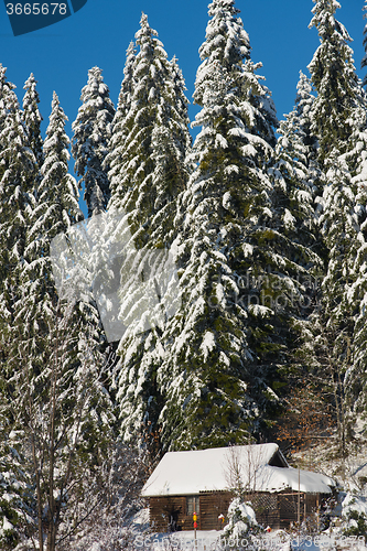 Image of small cabin covered with fresh snow