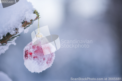 Image of christmas balls on tree