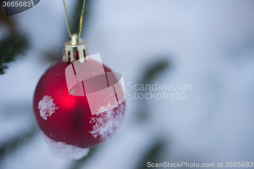 Image of christmas balls on tree