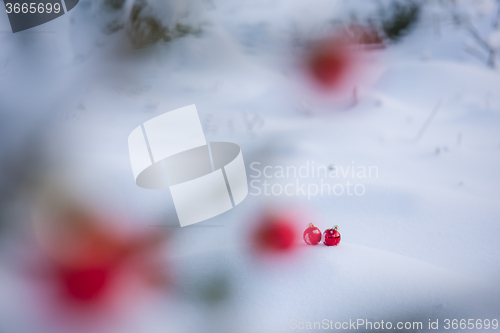 Image of christmas ball in snow