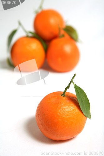 Image of Clementine closeup on tablecloth
