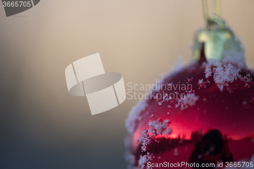 Image of christmas balls on tree