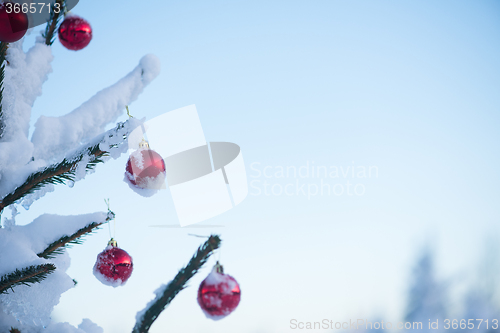 Image of christmas balls on tree