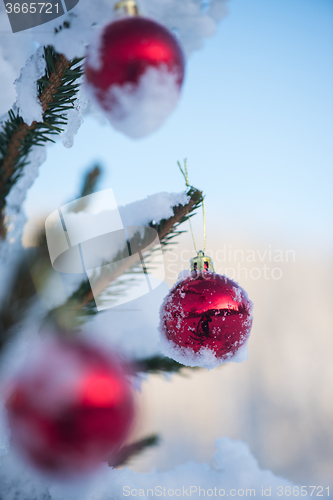 Image of christmas balls on tree