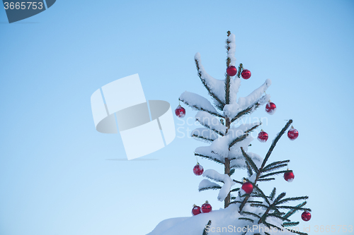 Image of christmas balls on tree