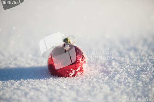 Image of christmas ball in snow