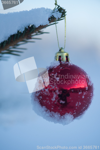 Image of christmas balls on tree