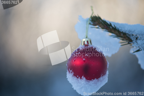 Image of christmas balls on tree