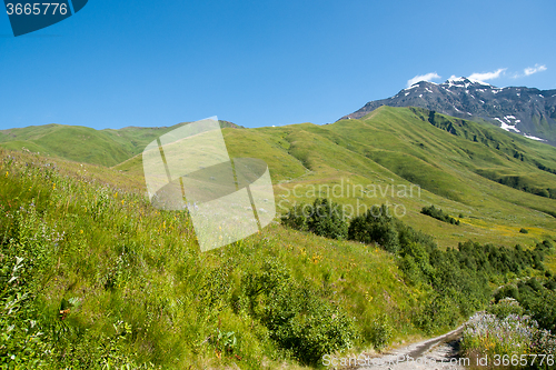 Image of Georgia mountain