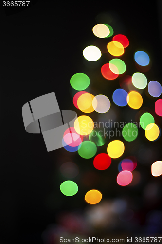 Image of Blurry Chrismas tree background