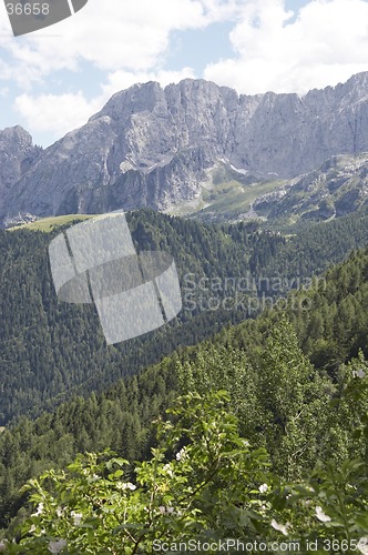 Image of Alps